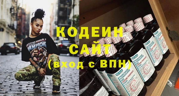 хмурый Бородино