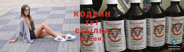 хмурый Бородино