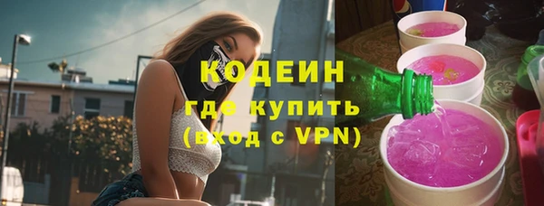 хмурый Бородино