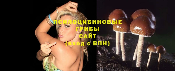 хмурый Бородино