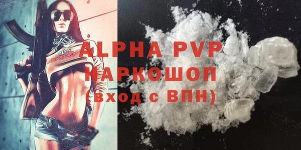 хмурый Бородино