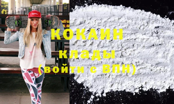 хмурый Бородино
