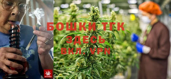 хмурый Бородино