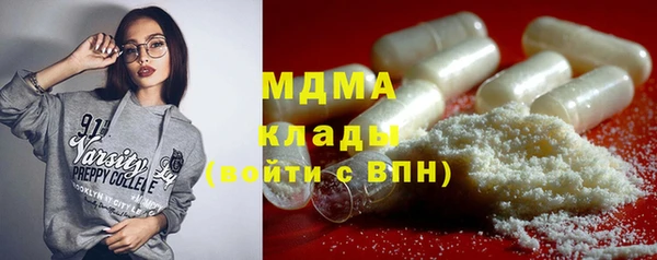 хмурый Бородино