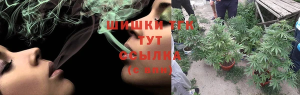 хмурый Бородино